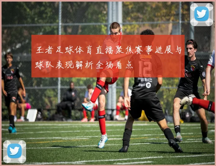 王者足球体育直播聚焦赛事进展与球队表现解析全场看点
