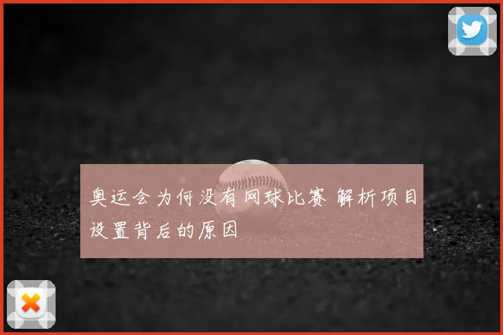 奥运会为何没有网球比赛 解析项目设置背后的原因