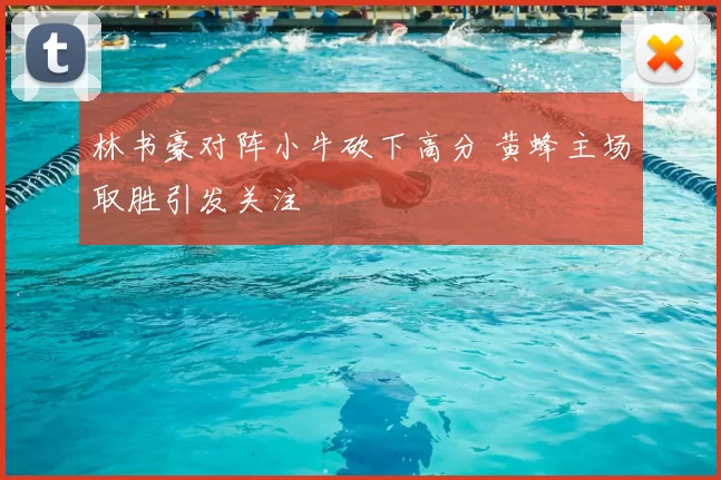 林书豪对阵小牛砍下高分 黄蜂主场取胜引发关注