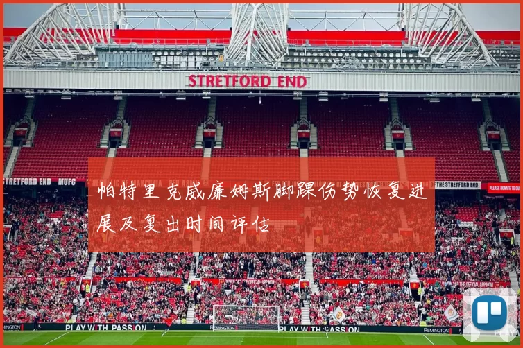 帕特里克威廉姆斯脚踝伤势恢复进展及复出时间评估